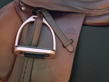 Load image into Gallery viewer, Rose Pink Powder Coated Stirrups